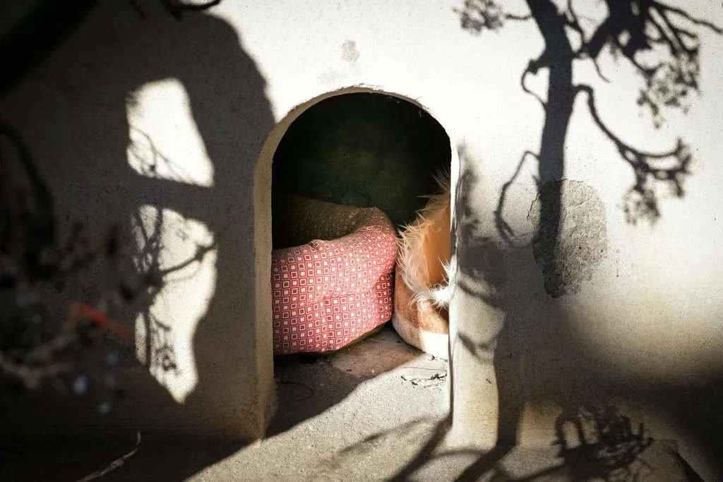 preuve-de-defaut-cache