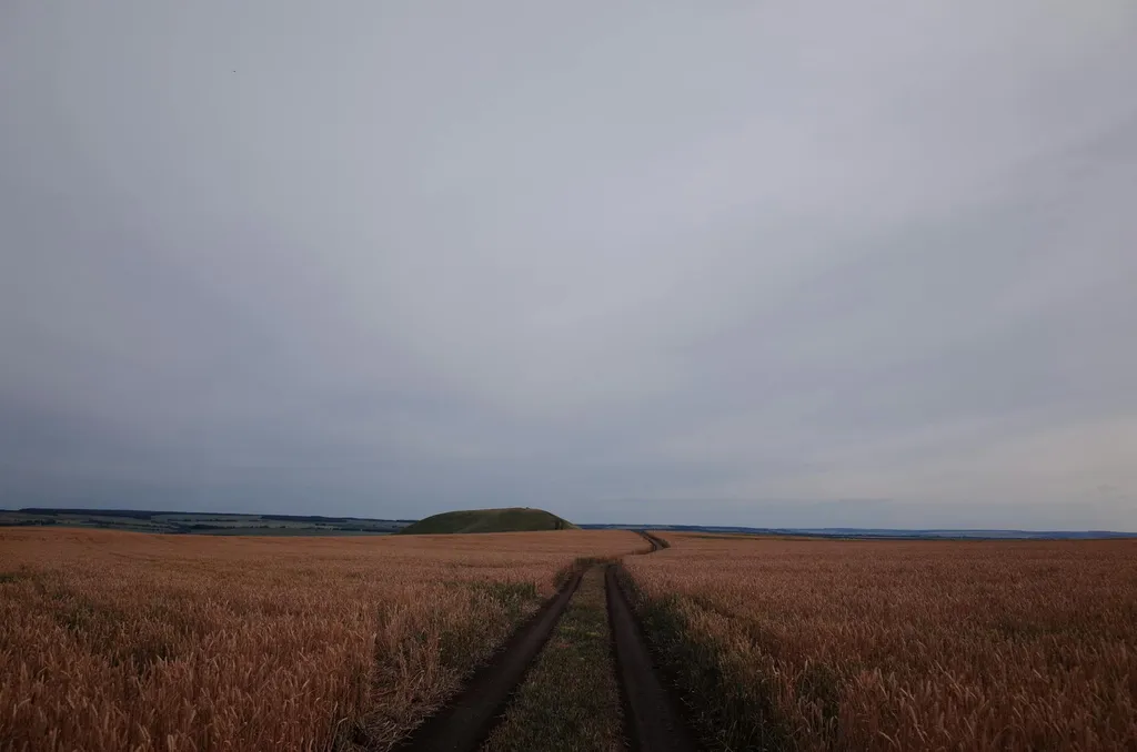 Prix du terrain non constructible : combien vaut votre parcelle et comment l’estimer ?